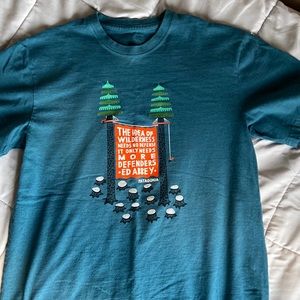 Patagonia Teal Graphic Tee